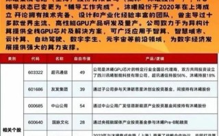国内GPU龙头企业-gpu巨头公司