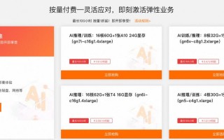 带gpu服务器-gpu服务器显卡