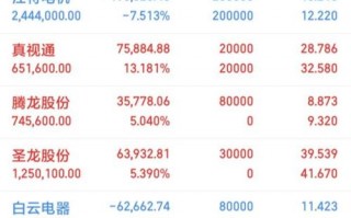 算力租赁板块龙头股票有哪些，chia算力租赁