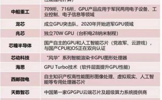 国内做gpu的企业排名，gpu公司