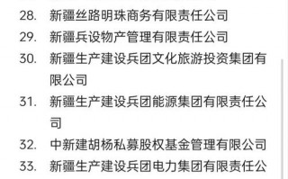 新疆的算力上市公司，新疆计算机公司