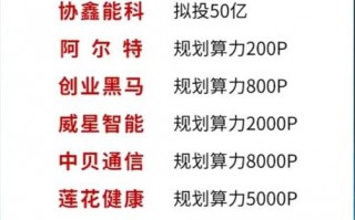 关于“算力租赁龙头股排名前十名”你可能想知道