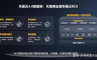 裸金属服务器哪个比较好，裸金属架构的典型产品是