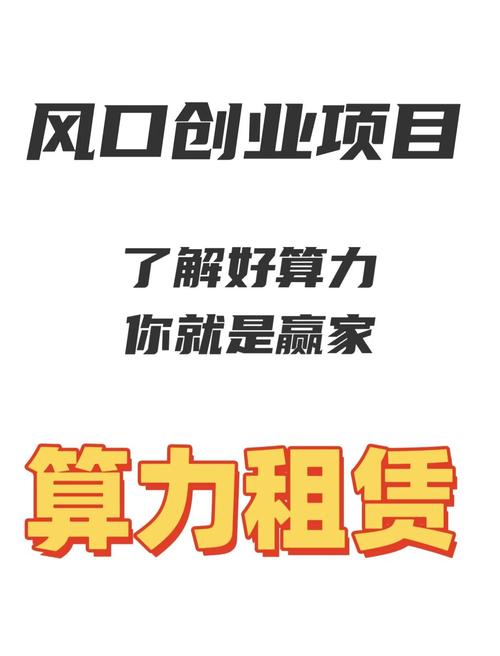 什么叫算力租赁公司呢怎么赚钱-算力出租能挖矿吗-第1张图片