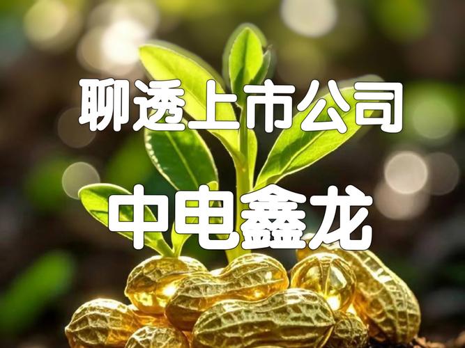 【中国算力股票被国家认可吗/算力龙头股】-第5张图片