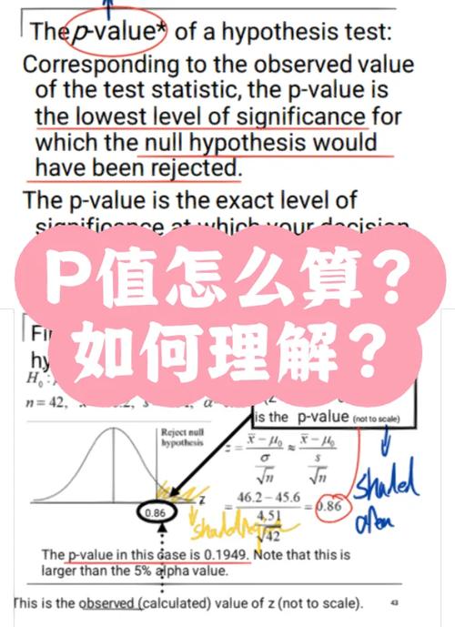 算力e和p代表什么意思-算力p是什么意思-第5张图片
