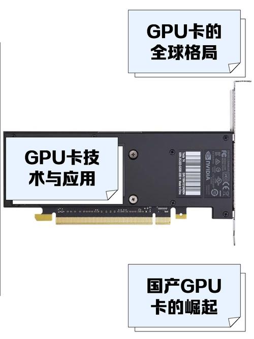 多gpu卡服务器，服务器gpu卡多少钱一张-第1张图片