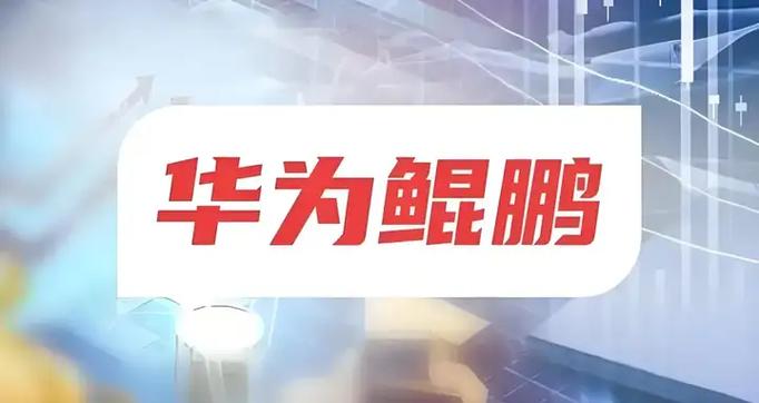 关于“华为鲲鹏裸金属服务器”你可能想知道-第4张图片
