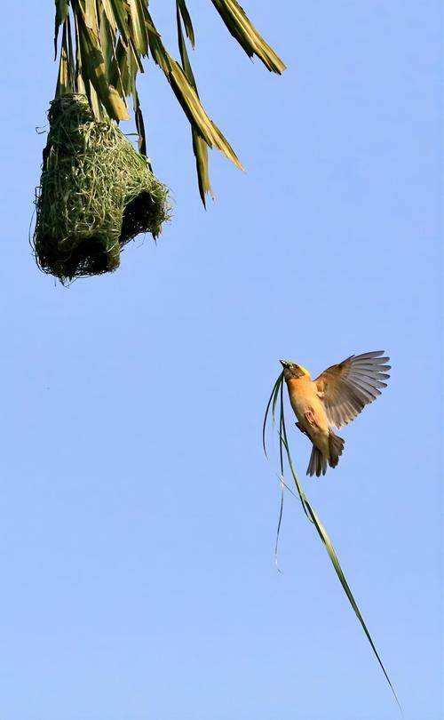 关于“裸金属服务器哪里租”你可能想知道-第9张图片 关于“裸金属服务器哪里租”你可能想知道-第9张图片