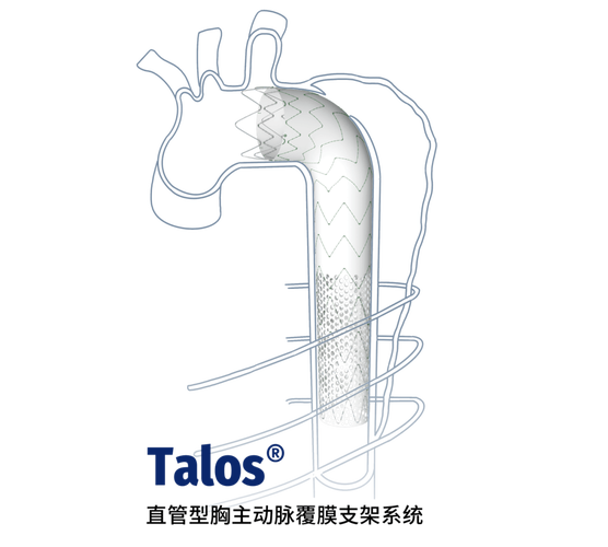 裸金属服务器BMS，裸金属服务器为什么叫裸金属-第5张图片