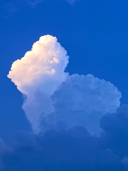 关于“裸金属服务器模拟器”你可能想知道-第5张图片